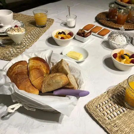 D Hotes Avec Piscine Et La Foliere Saumur فندق مبيت وإفطار Villebernier